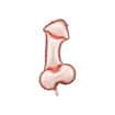 Picture of FOIL BALLOON PENIS ROSE GOLD 22 INCH